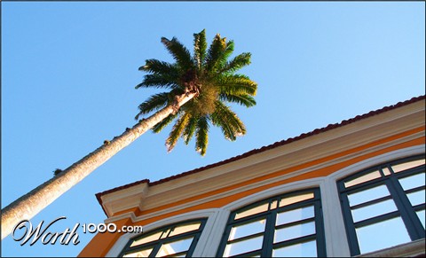 Photography by Pr4ktic