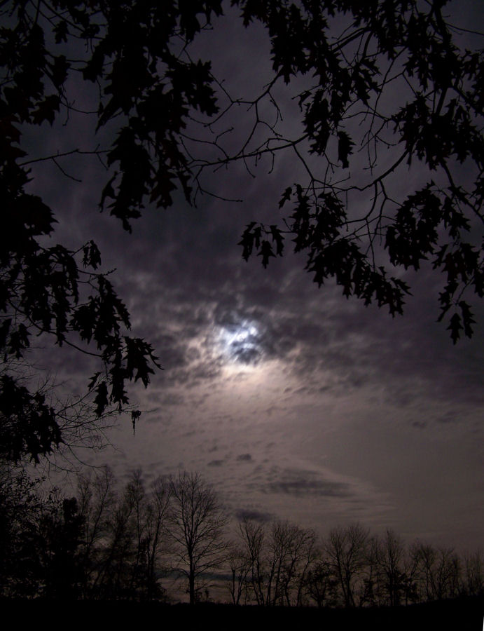 Photography by Marlii for DesignCrowd (Community Contests) | Design #9003234