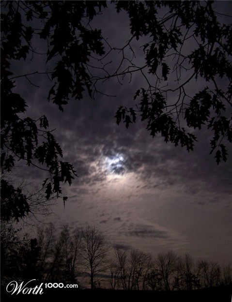 Photography by Marlii