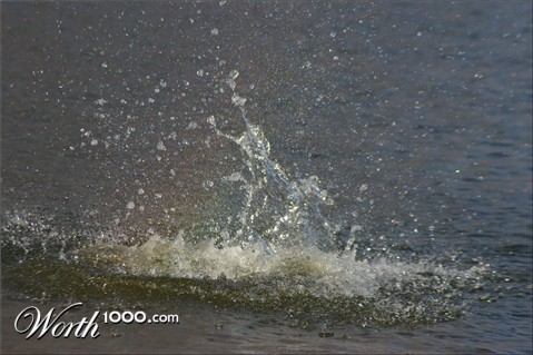 Photography by darlingmkt