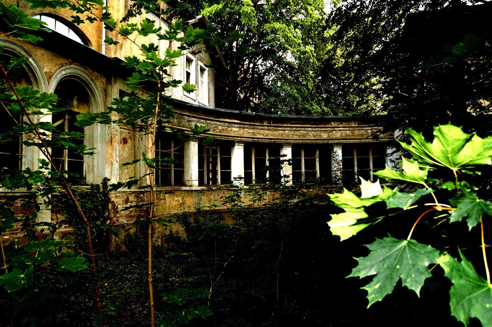 Photography by Luciusseian for DesignCrowd (Community Contests) | Design #9003229