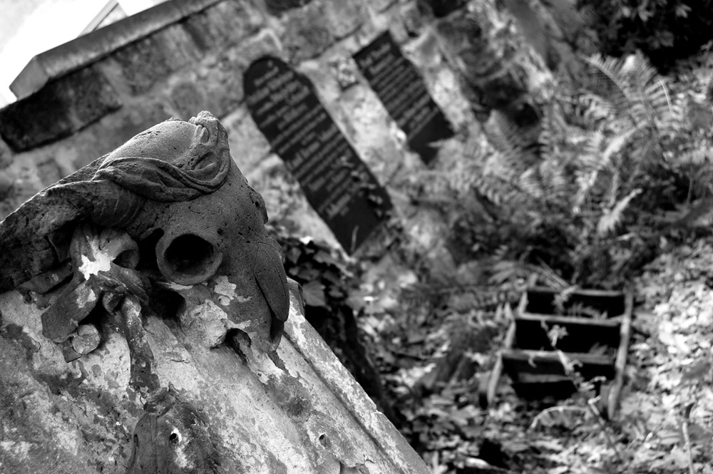 Photography by Luciusseian for DesignCrowd (Community Contests) | Design #8998354