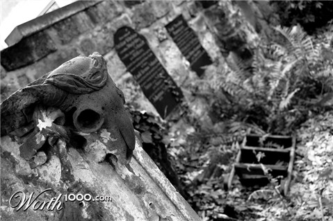 Photography by Luciusseian