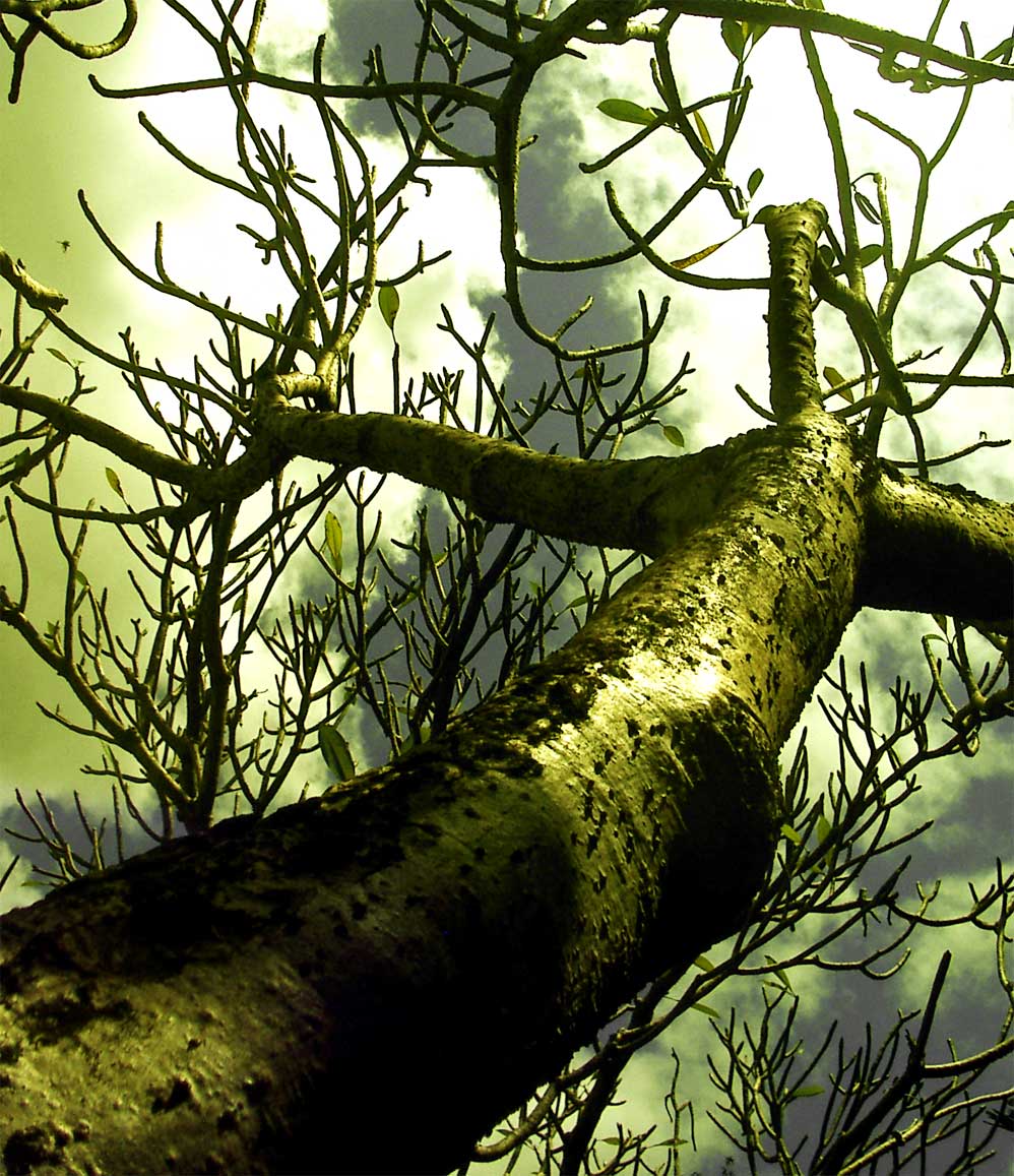 Photography by francodr for DesignCrowd (Community Contests) | Design #8999533