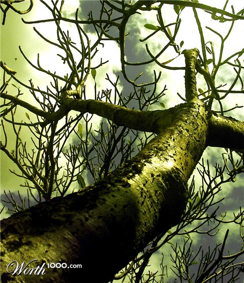 Photography by francodr