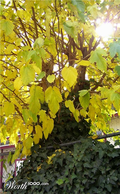 Photography by ClickChick