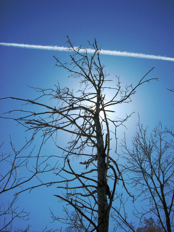 Photography by pwis0807 for DesignCrowd (Community Contests) | Design #8999511