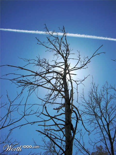 Photography by pwis0807