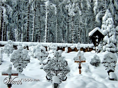 Photography by samsara