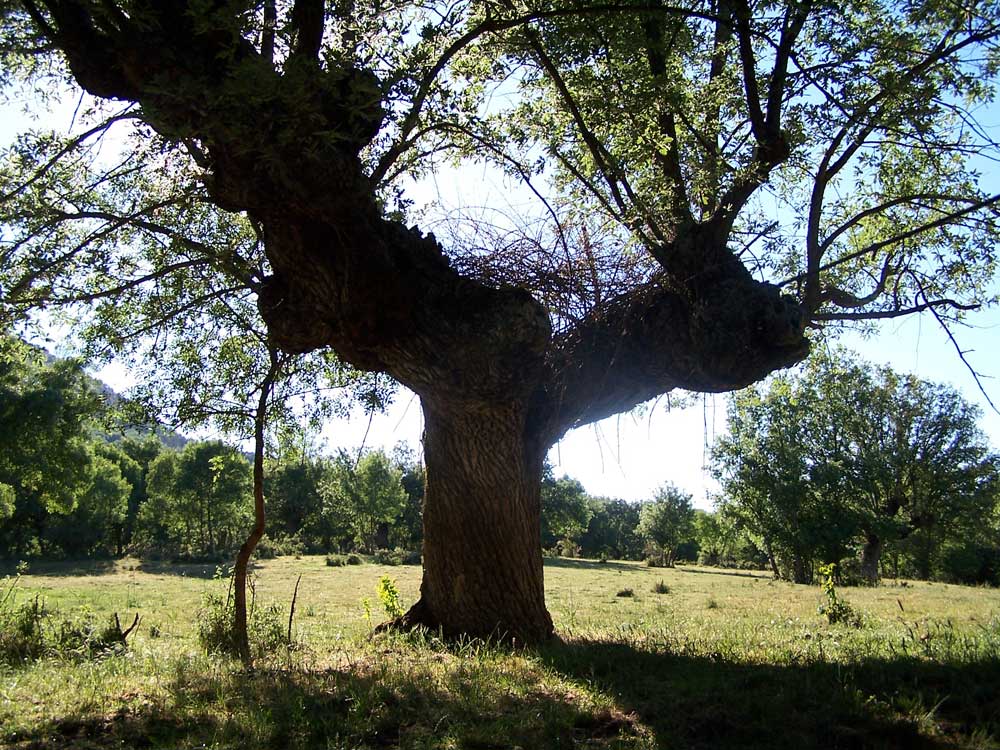 Photography by arreba for DesignCrowd (Community Contests) | Design #8999561