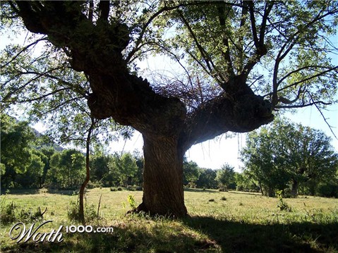 Photography by arreba