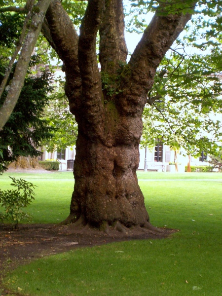 Photography by planetgazer for DesignCrowd (Community Contests) | Design #8999538