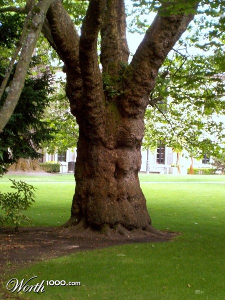 Photography by planetgazer