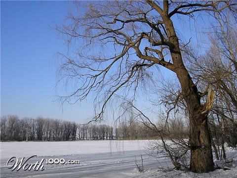 Photography by Jethrolutt