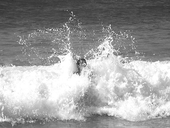 Photographie par bestpicturesever pour DesignCrowd (Community Contests) | Design #8996417