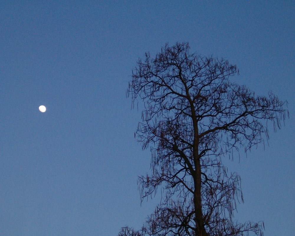 Photography by HyperZenGirl for DesignCrowd (Community Contests) | Design #8999509