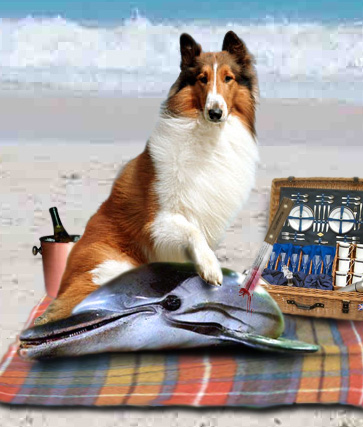 Diseño de Photoshop por kenorsom para DesignCrowd (Community Contests) | Diseño #8998209