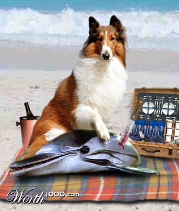 Photoshop Design by kenorsom