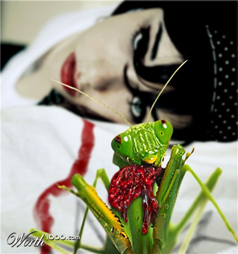 Photoshop Design by tanyadv