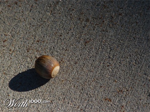 Photography by Milkbeard