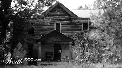 Photography by ebales00