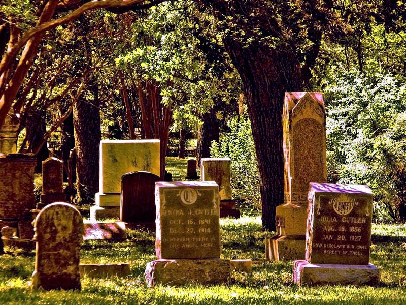 Photography by Suziecuchon for DesignCrowd (Community Contests) | Design #8998378