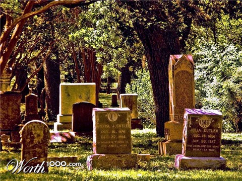 Photography by Suziecuchon