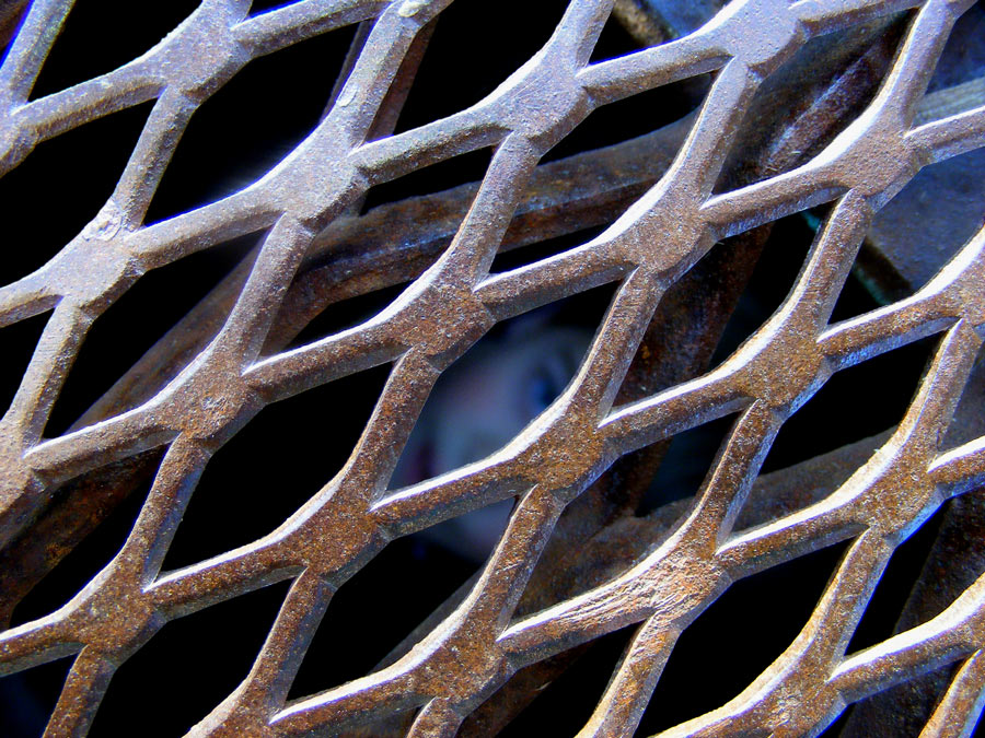 Photography by FamousAsset for DesignCrowd (Community Contests) | Design #9003249