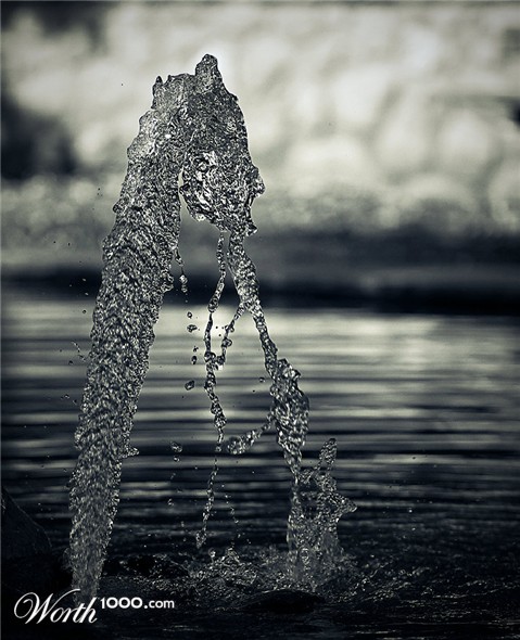 Photography by damas100