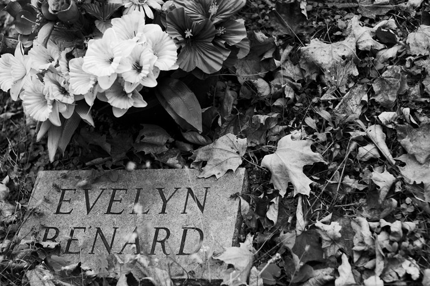 Photography by Mirado for DesignCrowd (Community Contests) | Design #8998358