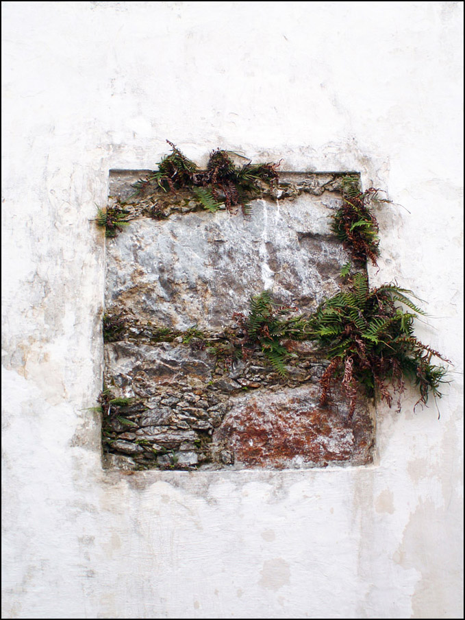 Photography by Pr4ktic for DesignCrowd (Community Contests) | Design #8996489