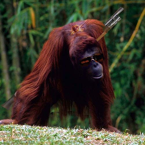 Photoshop Design by peace99 for DesignCrowd (Community Contests) | Design #8998264