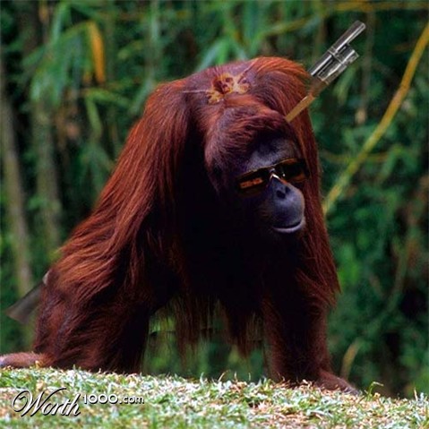 Photoshop Design by peace99