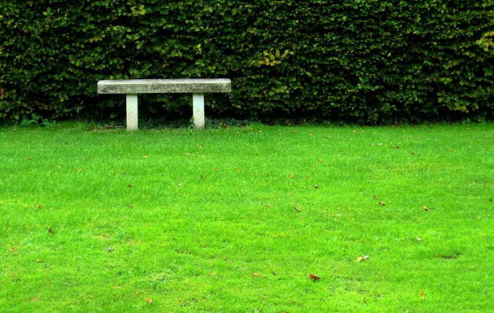 Photographie par allboutme pour DesignCrowd (Community Contests) | Design #8996485