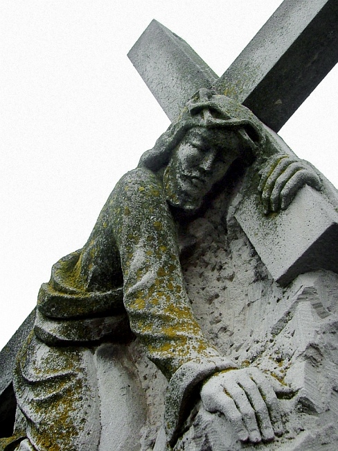 Photography by filipvalach for DesignCrowd (Community Contests) | Design #8998402