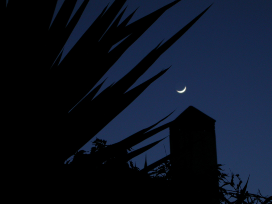 Photography by KidLoko for DesignCrowd (Community Contests) | Design #8996523