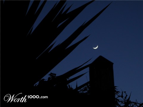 Photography by KidLoko