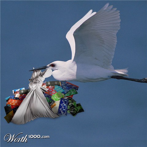 Photoshop Design by leskfish