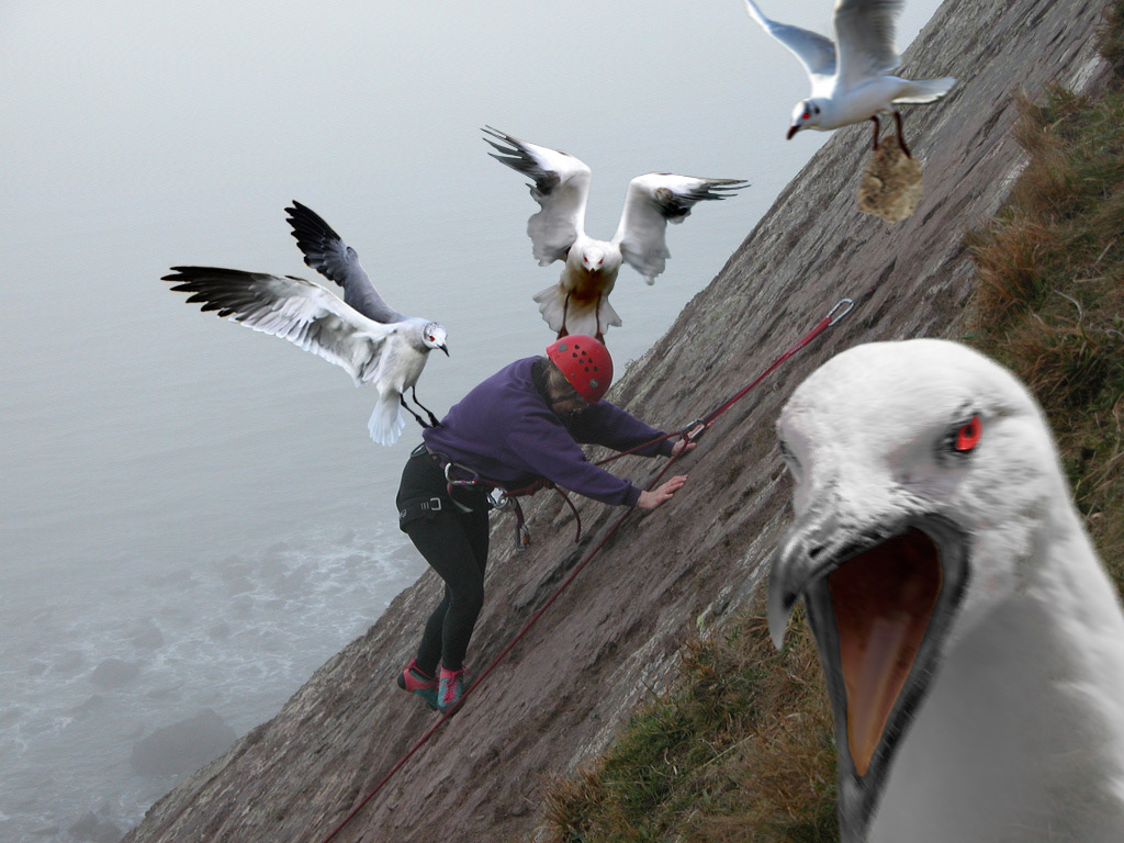 Photoshop Design by Bloopie for DesignCrowd (Community Contests) | Design #8998323