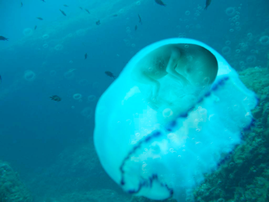 Photoshop Design by Polynic for DesignCrowd (Community Contests) | Design #8998684