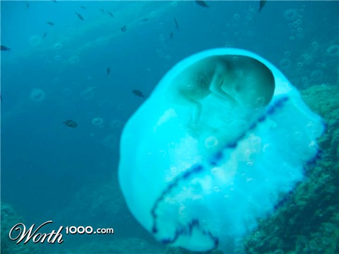 Photoshop Design by Polynic