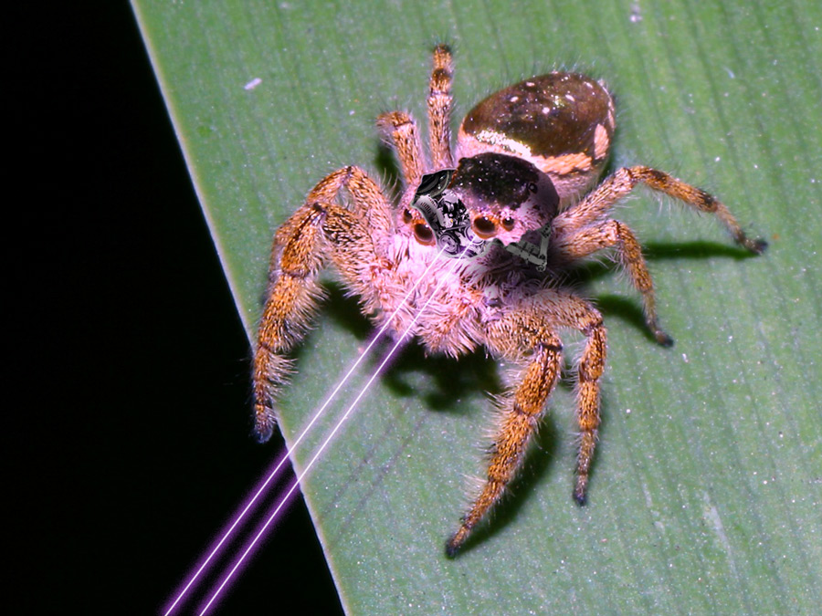 Photoshop Design by FourEcks for DesignCrowd (Community Contests) | Design #8996702