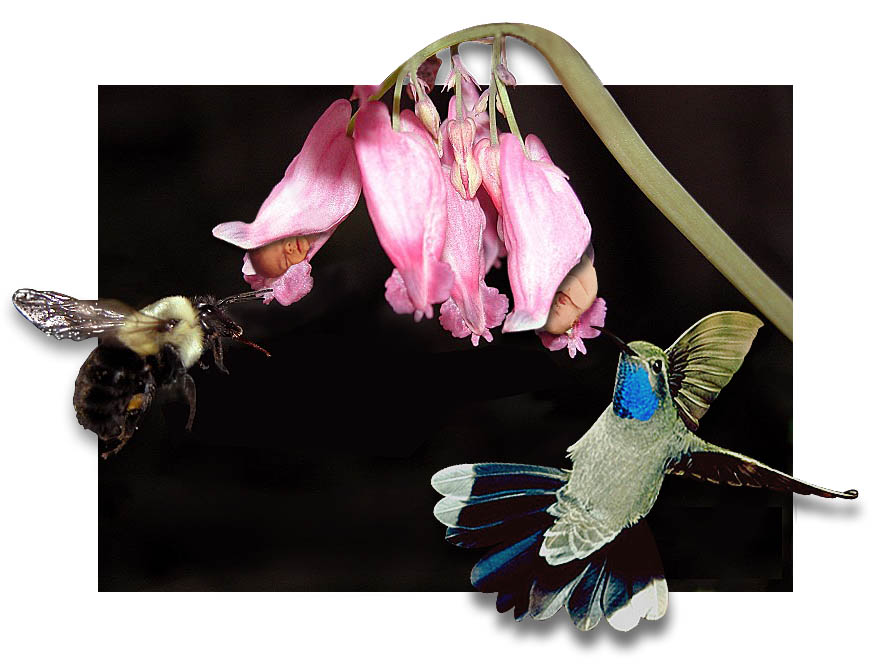 Photoshop Design by tanyadv for DesignCrowd (Community Contests) | Design #8998699