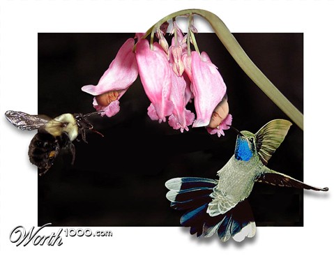 Photoshop Design by tanyadv