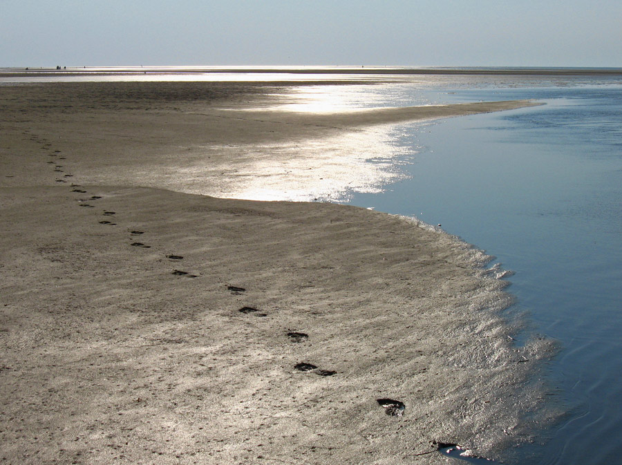 Photography by Anserculus for DesignCrowd (Community Contests) | Design #8996507