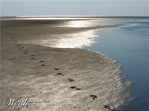 Photography by Anserculus