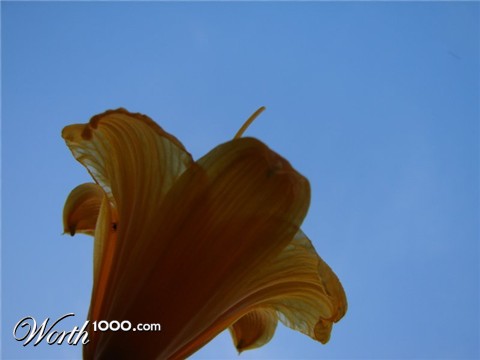 Photography by Penycat