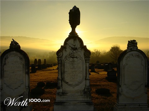 Photography by seedsower