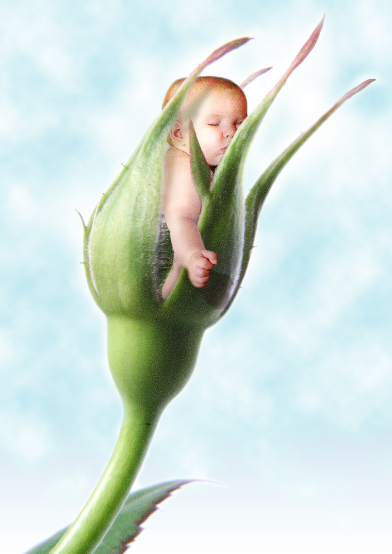 Diseño de Photoshop por jlipidarov para DesignCrowd (Community Contests) | Diseño #8998802