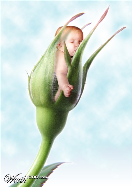 Photoshop Design by jlipidarov